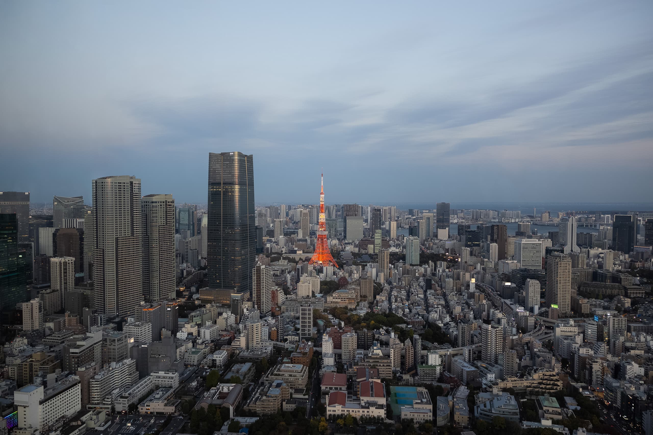 Stadtpanorama mit Tokyo Tower in der Abenddämmerung