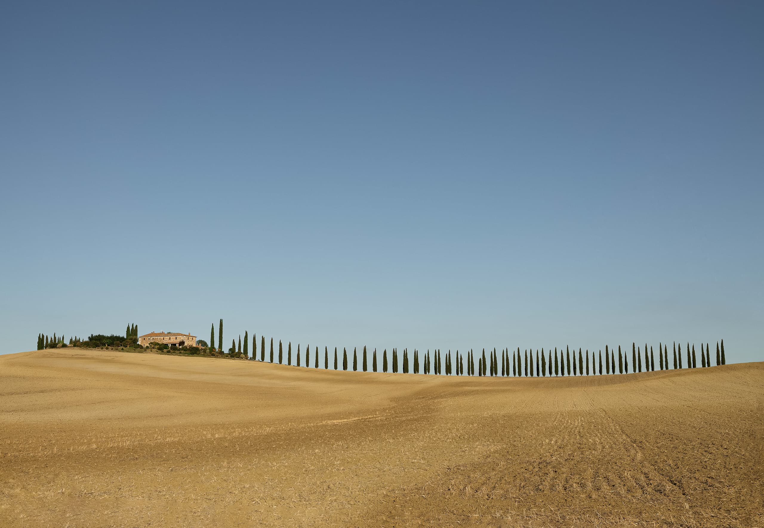 Landschaft – Aufnahme 12 von Felix Thomann Photography